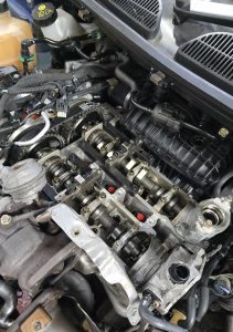 Shows location of wet belt in engine